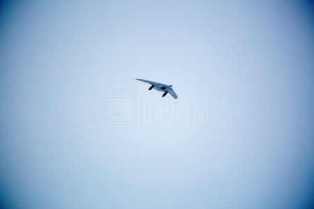 Supercam с течеискателем метана ДЛС-ЛА