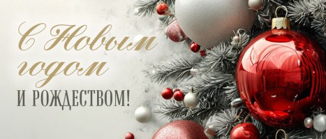 С Новым 2025 годом