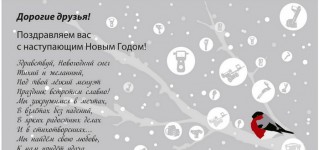 С наступающим Новым Годом и Рождеством!