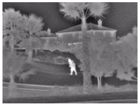 Изображение FLIR SR-серии