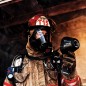 Пожарный с тепловизором FLIR K65